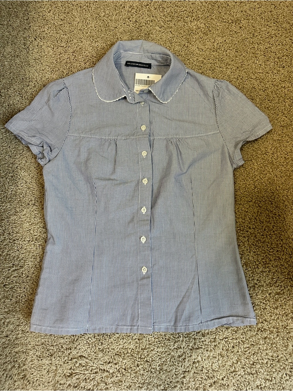 Brandy Melville Blue Striped Short-Sleeve Button-Up Blouse
